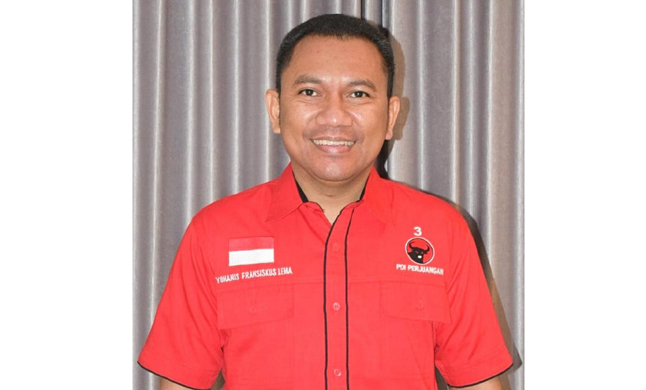 MK Tolak Gugatan Gerindra, Begini Tanggapan Anggota DPR RI Terpilih asal NTT Ansy Lema