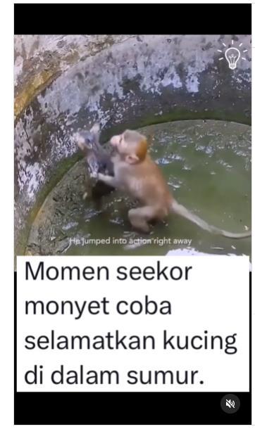 Berita Viral Momen Menyentuh Hati Seekor Monyet Menolong Kucing Terjebak Dalam Sumur