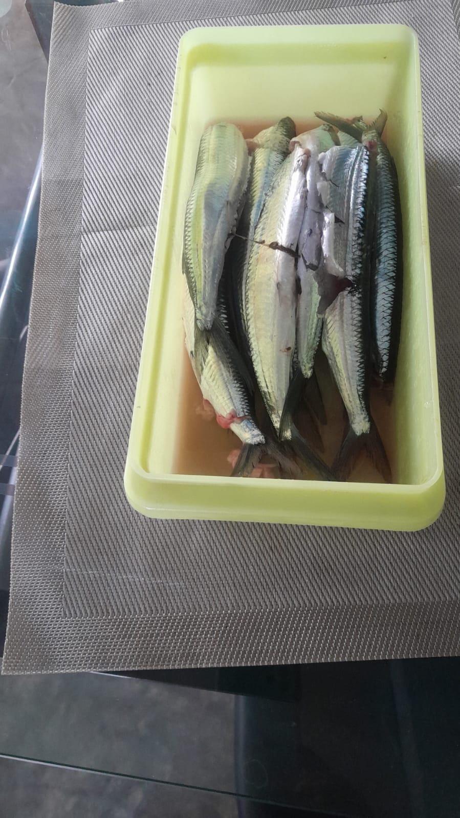 Kuliner NTT, Ini Jenis Ikan Panjang, Tipis Lonjong Tapi Enak Mo Mati Sa, Info dan Cek Harga di Sini