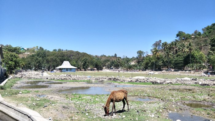 Pagar Tembok Lapangan Suembak Waingapu Mulai Dikerjakan