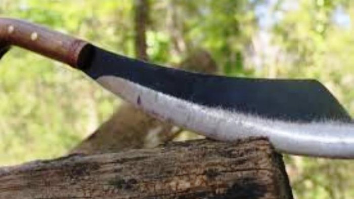 Sadis! Lima Orang Ditebas di Kos-Kosan Anak Sumba NTT di Pulau Singkep Denpasar