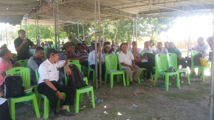 Pemkab Kupang Salut Varietas Padi untuk Cegah Stunting Sukses Ditanam di Oesao