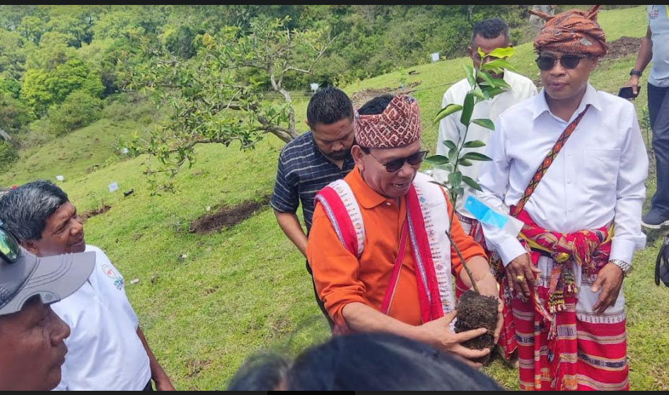 Peserta KONAS FKPKB-PGI Hijaukan Observatorium Timau dengan 1000 Anakan Pohon