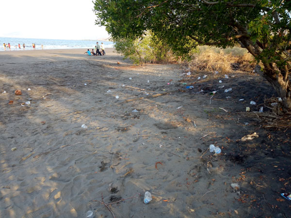 Pengunjung Buang Sampah di Pantai Nangadhero