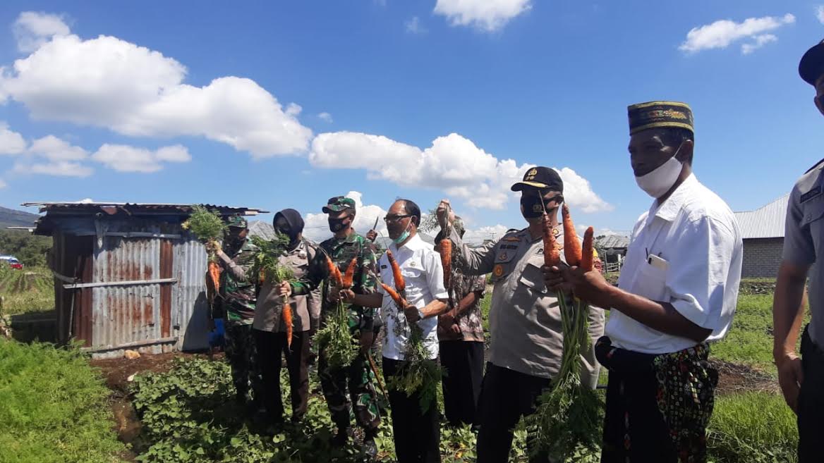 Cegah Pandemi Covid-19 dan Ketahanan Pangan, Polres Manggarai Launching Kampung Tangguh Lawir, Simak