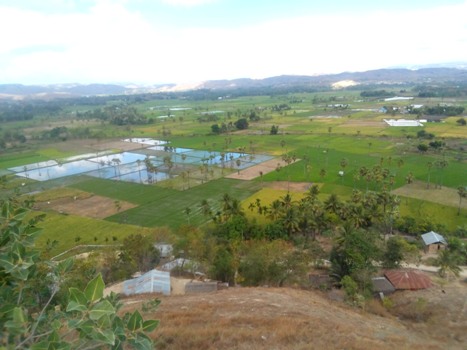 Mimpi Ichal Untuk Berwisata di Bukit Persaudaraan Mauliru Sumba Timur Terjawab