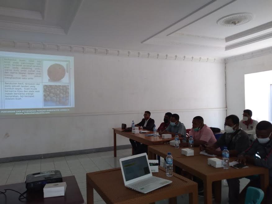 pertemuan-aspeporin-bersama-plt-bupati-lembata.jpg