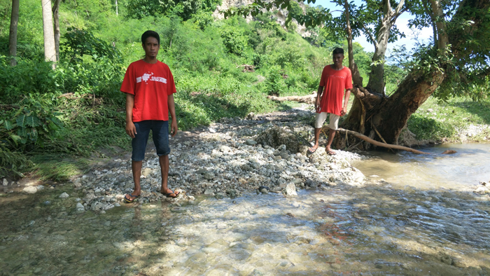Petani di Persawahan Harau Butuh Tanggul, Ini Tanggapan Sekretaris BPBD Sumba Timur