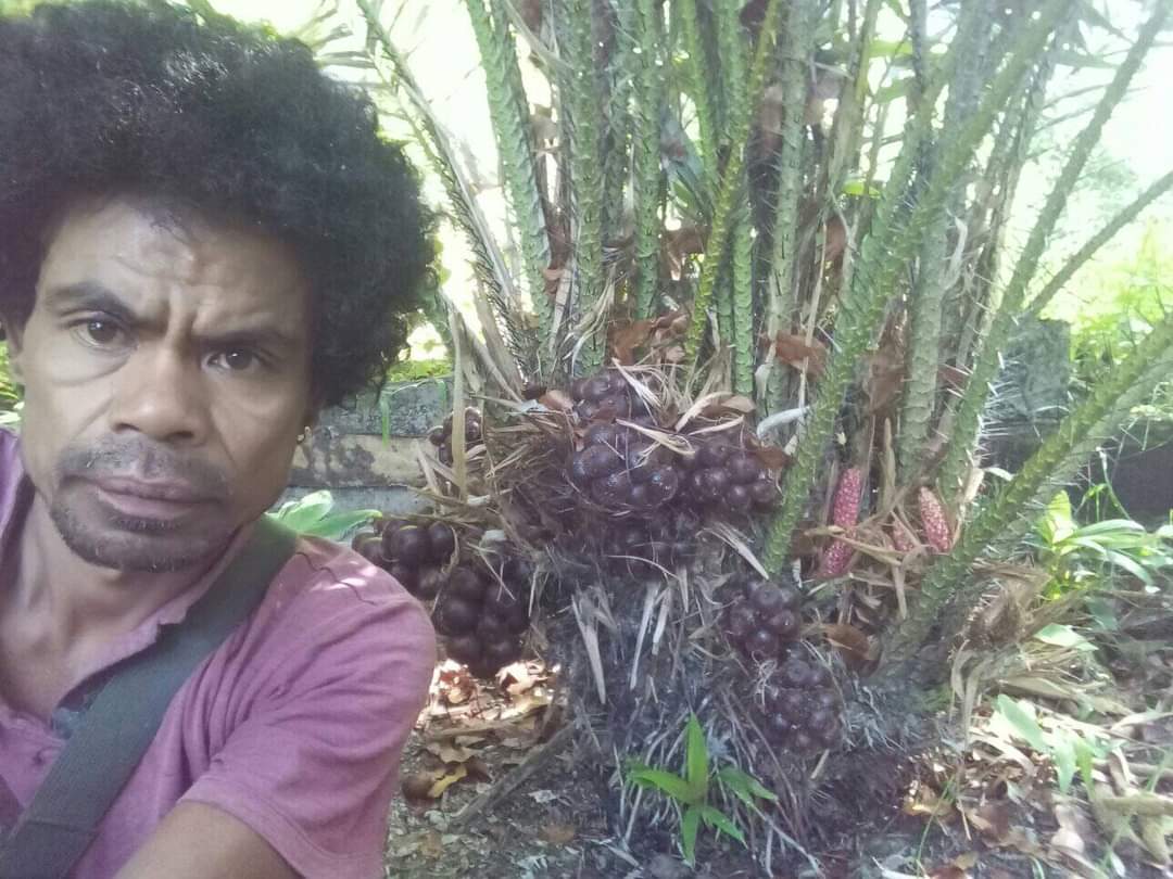 Andre Moruk Petani Sukses Asal Belu Kembangkan 6.000 Pohon Salak