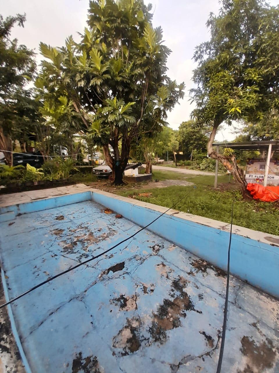 Kuliner Khas NTT, Goreng Sukun Pake Mantega Ba Minya Tapi Lecker Bro, Minum Deng Kopi Susu Bos