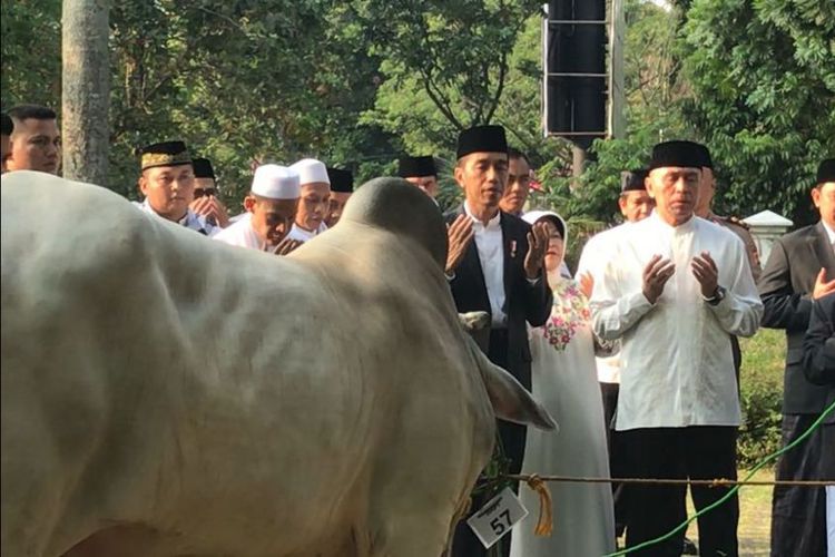 Fatwa MUI: Umat Harus Perhatikan Protokol Kesehatan Saat Shalat Idul Adha dan Penyembelihan Kurban