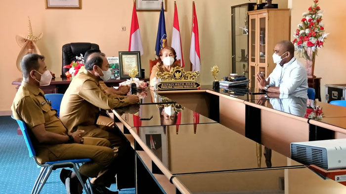 Program Tanam Jagung Panen Sapi Digantikan Dengan Tanam Rumput Odot Panen Sapi