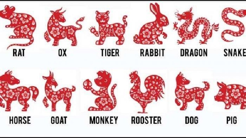 12 Shio Besok Sabtu 21 Agustus 2021, Shio Hoki Anjing Monyet Ular Spekulasi Sukses