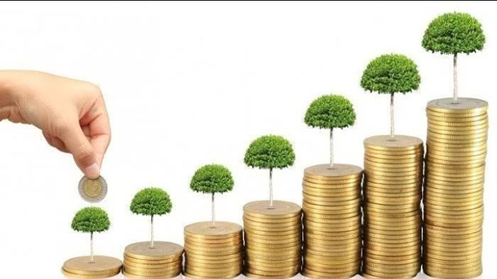 Realisasi Investasi di NTT Capai Rp 3,6 Triliunan