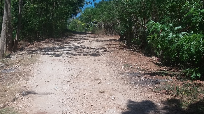 Warga Matani Rindukan Pengaspalan Jalan