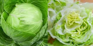 5 Manfaat Sayur Kol yang Jarang Orang Tahu