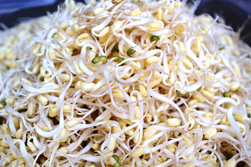 Tak Disangka, Ternyata Ada 10 Manfaat Tauge Bagi Kesehatan Tubuh