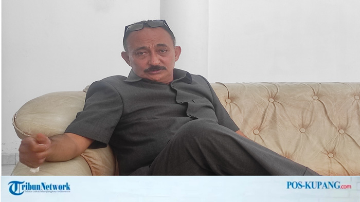 Setahun 25 Ribu Kambing Keluar Dari Sumba Timur, Dewan Khawatir Populasi Bakal Punah