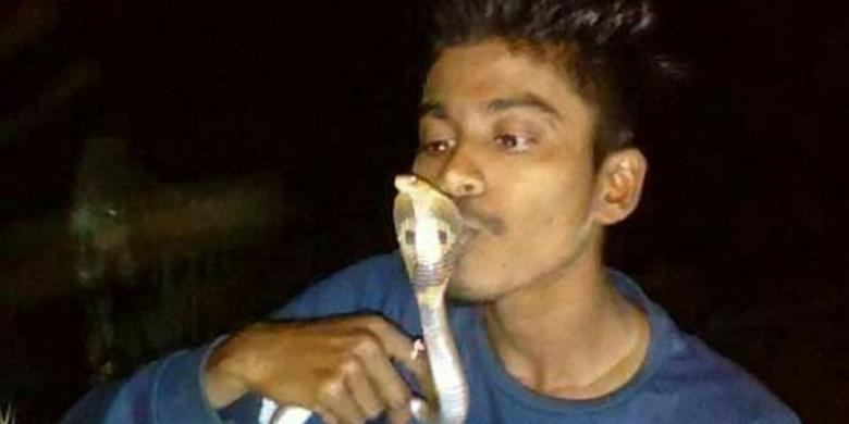 Pemuda ini Tewas Saat Hendak Mencium Ular Kobra