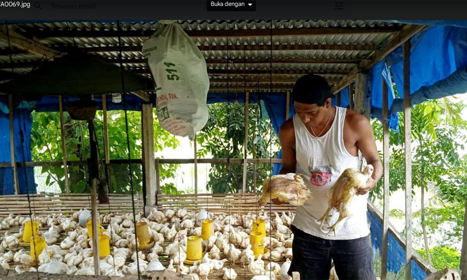Lewat Program TANI AKUR, Paulus Alumni SMK-PP Sukses Kembangkan Usaha