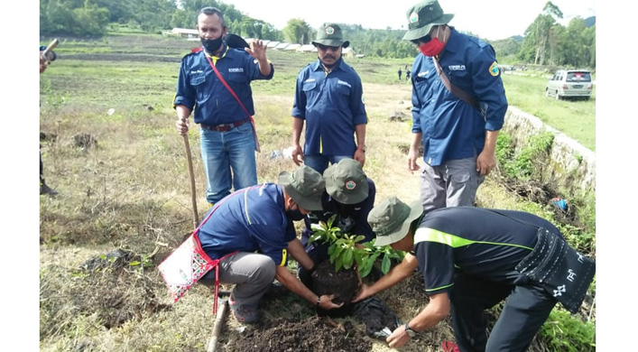 Stiper FB Tanam Avocado di Turekisa