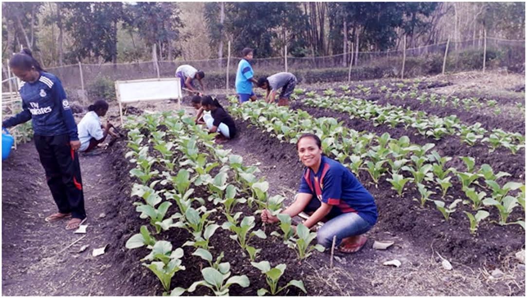 Tujuh Guru Honorer Di Desa Ini Giat dalam Kelompok Wanita Tani
