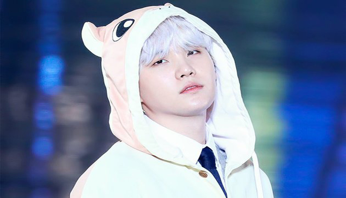 Penampilan Baru Min Holly Anjing Kecil Suga BTS Ini Jadi Sorotan Setelah Dirawat Tim Stylist Khusus