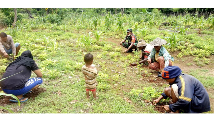 sukseskan-swasembada-pangan-babinsa-bantu-warga-bersihkan-kebun-kacang-tanah.jpg