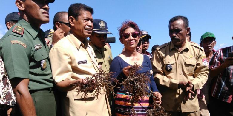 Menteri Susi Pujiastuti : Masa Orang Cantik Begini Mau Menenggelamkan Kapal