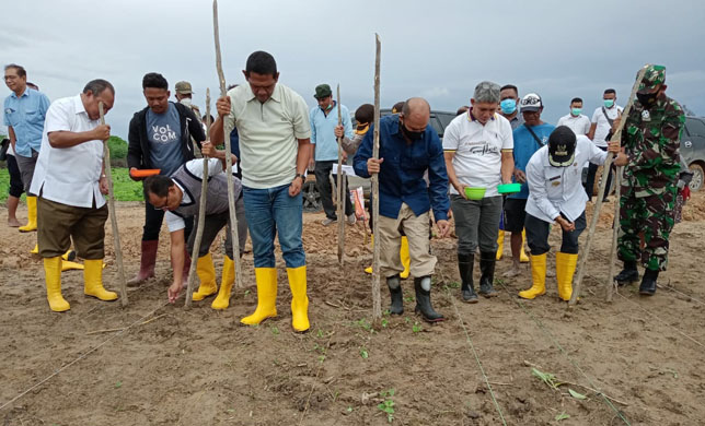 tanam-jagung-simbolis-di-bena-tts-gubernur-viktor-laiskodat-kerja-harus-berdasarkan-data-riil.jpg