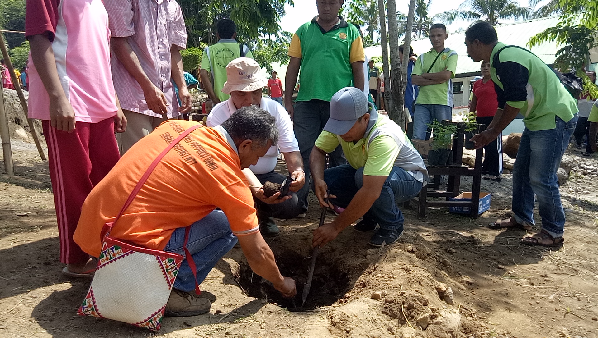 2.500 Anakan Kelor Tanam di Wilayah Kecamatan Nangaroro