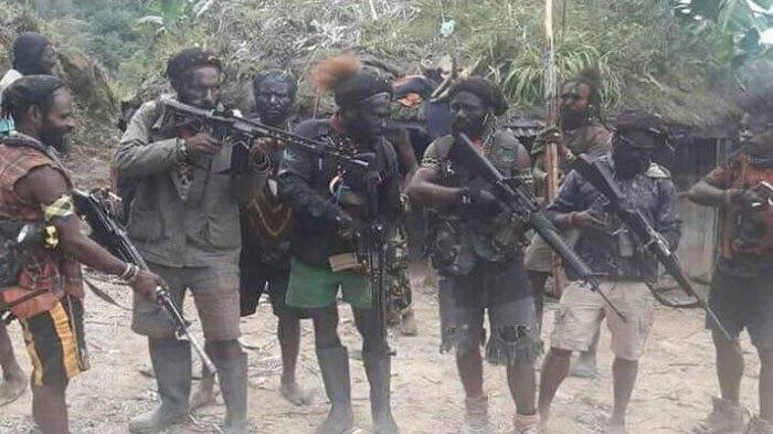 KKB Papua Mengamuk, Tembaki Anggota TNI-Polri di Depan Kantor Bupati, Kepung Intan Jaya