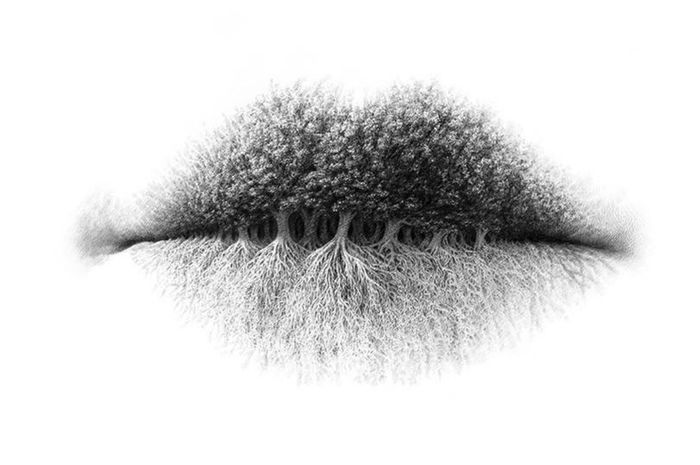 Yuk Simak! 4 Tipe Manusia Berdasarkan Tindakannya Untuk Capai Kesuksesan, Anda Termasuk Yang Mana ?