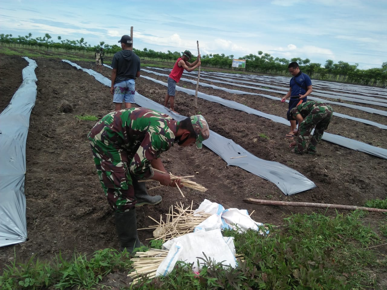 Dandim Sumba Timur Canangkan Program Unggulan Ketahanan Pangan