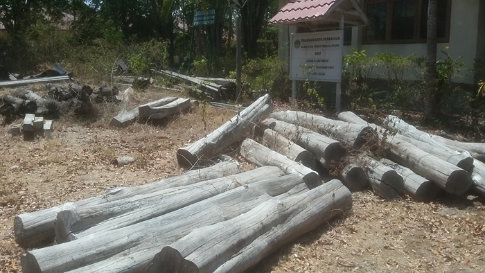 Dalam Sebulan Pengiriman Kayu Sonokeling Sampai 30 Kontainer