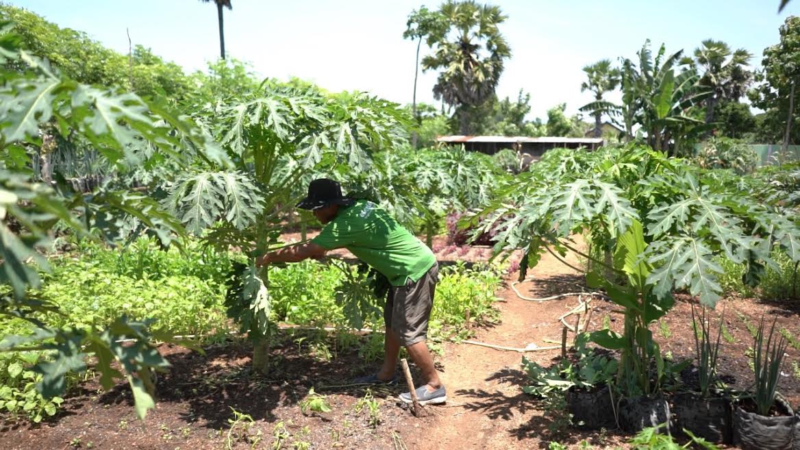 Duta Petani, Gesti : Bertani Itu Sexy, Tingkatkan Hasil Pertanian dengan Penggunaan Listrik