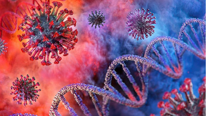 Di 18 Provinsi Tak Ada Kasus Baru, 86.061 Orang Diperiksa, 74.474 Dinyatakan Negatif Corona