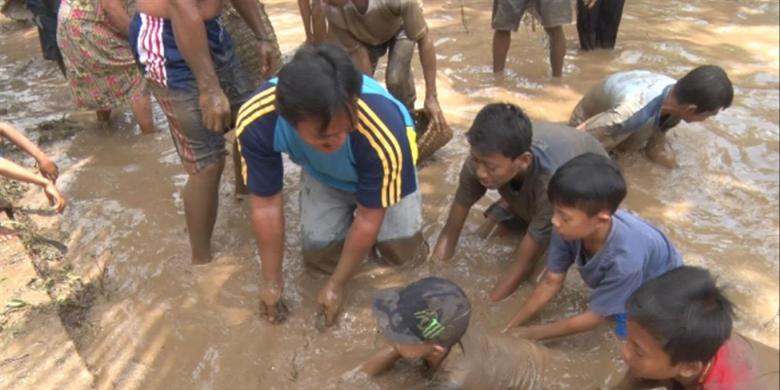 Bila Ratusan Warga Jatiprahu Berebut Menangkap Lele