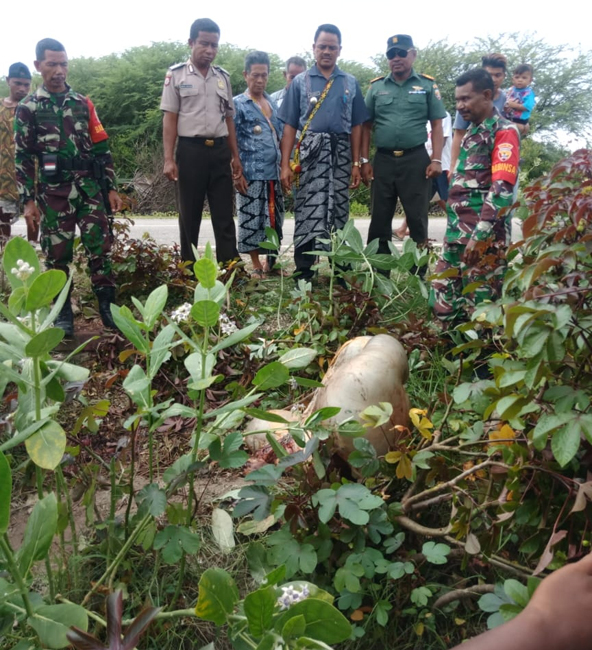 Cegah Aksi Pencurian Sapi, Ini Imbauan Camat Amanuban Selatan Jhon Asbanu