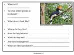 Kunci Jawaban Bahasa Inggris Kelas 9 Halaman 40 Kurikulum Merdeka: What is It?