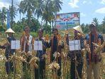 Gubernur-NTT-Viktor-Laiskodat-melakukan-panen-jagung-Program-Tanam-Jagung-Panen-Sapi.jpg