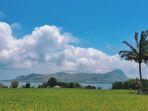 Hamparan-sawah-di-pesisir-Pantai-Dintor-dan-pesona-Pulau-Mules.jpg