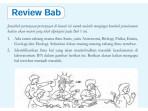 Kunci Jawaban IPA Kelas 7 Halaman 41 Kurikulum Merdeka: Review Bab