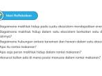 IPAS-Kelas-5-Halaman-47-a.jpg
