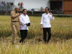 Jokowi-Prabowo-dan-Ganjar-di-Kebumen.jpg