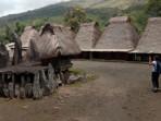 Kampung-Bena-dikenal-sebagai-kawasan-yang-masih-menyisakan-budaya-zaman-purba.jpg