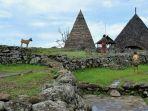 Kampung-Todo-di-Kecamatan-Satar-Mese-Barat-Manggarai-Nusa-Tenggara-Timur.jpg
