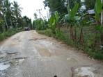 Kondisi-jalan-raya-Tambolaka-Kodi-Sumba-Barat-Daya-alami-kerusakan.jpg