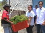 Konservasi-Indonesia-bersama-mitra-lokal-mengembangkan-usaha-pembibitan-rumput-laut.jpg
