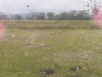 Lahan-sawah-di-Waikabubak-kering.jpg